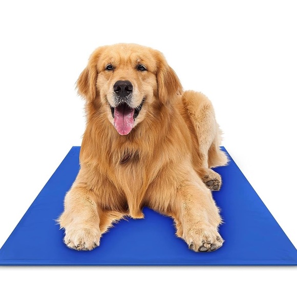 Other - Chillz XL Pet Cooling Pad